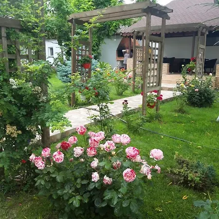 Guest house Casa Royal Haveli Costinesti