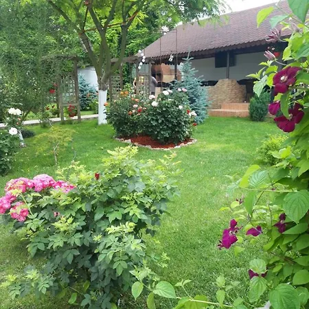 Casa Royal Haveli Guest house Costinesti