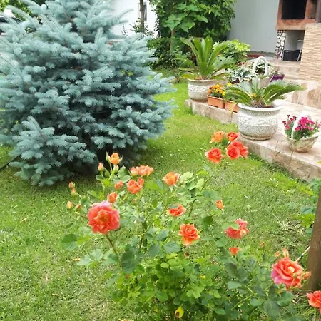 Casa Royal Haveli Pensiune Costineşti